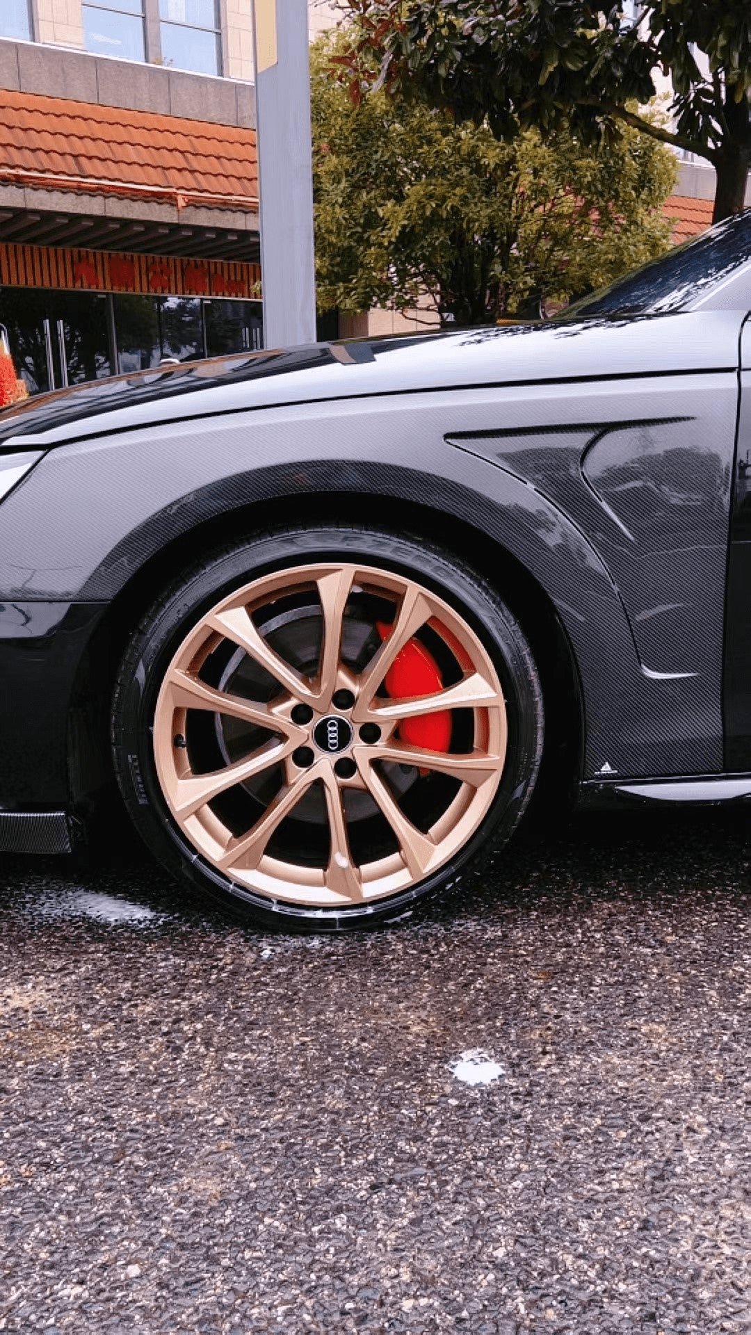 AUDI RS4 S4 A4 B9 B9.5 AE style Front Vents Fenders 2017-2025