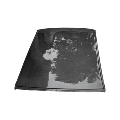 Honda Civic FD2 RR Type Carbon Fiber Roof 2006-2011