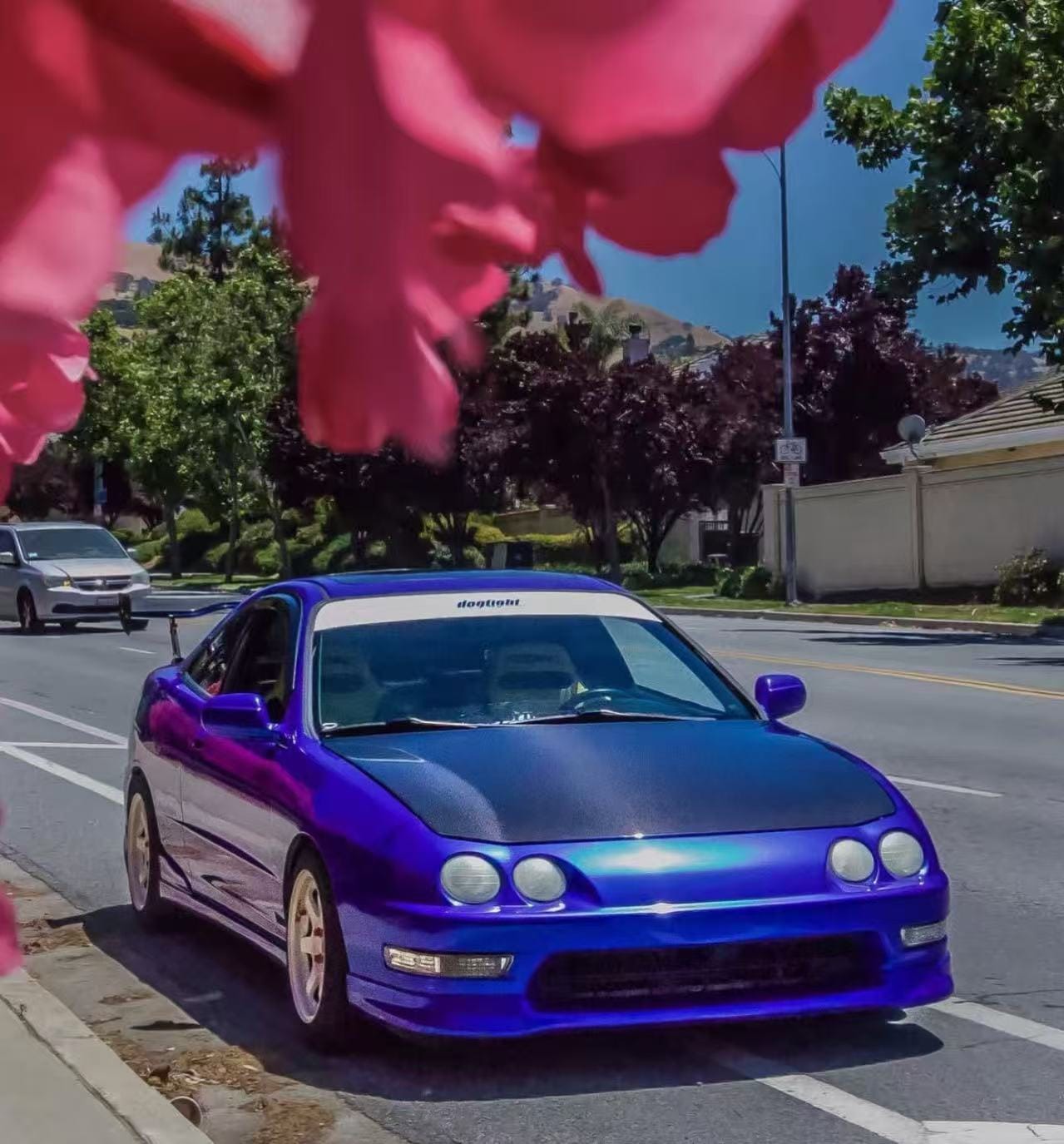 Honda Integra DC2 OEM Style Hood Bonnet 1994-2001